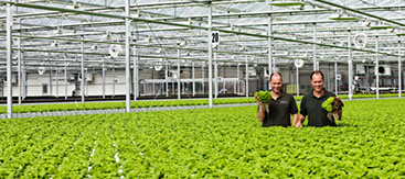 Illustratieve locatie fotografie, Foto Fotostudio Karel Bingen, fotograaf Roermond Limburg Nederland