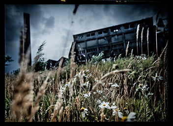 Locatie sfeer corporate foto opname, Fotostudio Karel Bingen, fotograaf