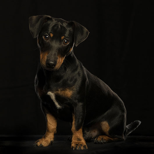 Studio product fotografie,Foto Fotostudio Karel Bingen, fotograaf Roermond Limburg Nederland