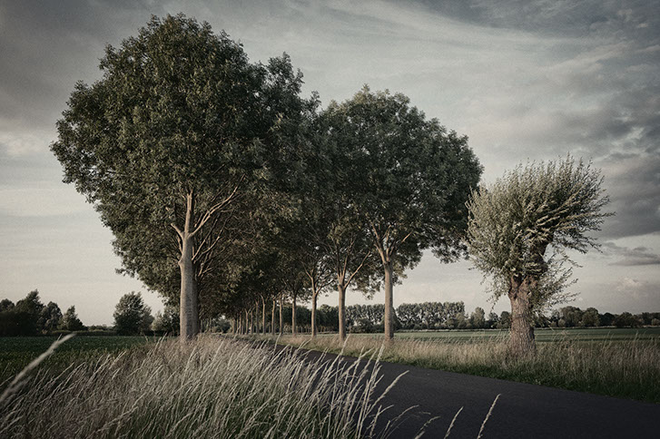 Locatie Food fotografie, Foto Fotostudio Karel Bingen, fotograaf Roermond Limburg Nederland