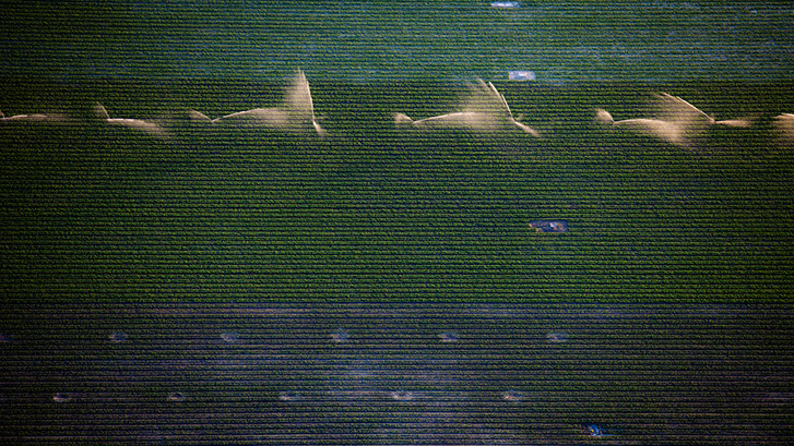 Locatie Food fotografie, Foto Fotostudio Karel Bingen, fotograaf Roermond Limburg Nederland