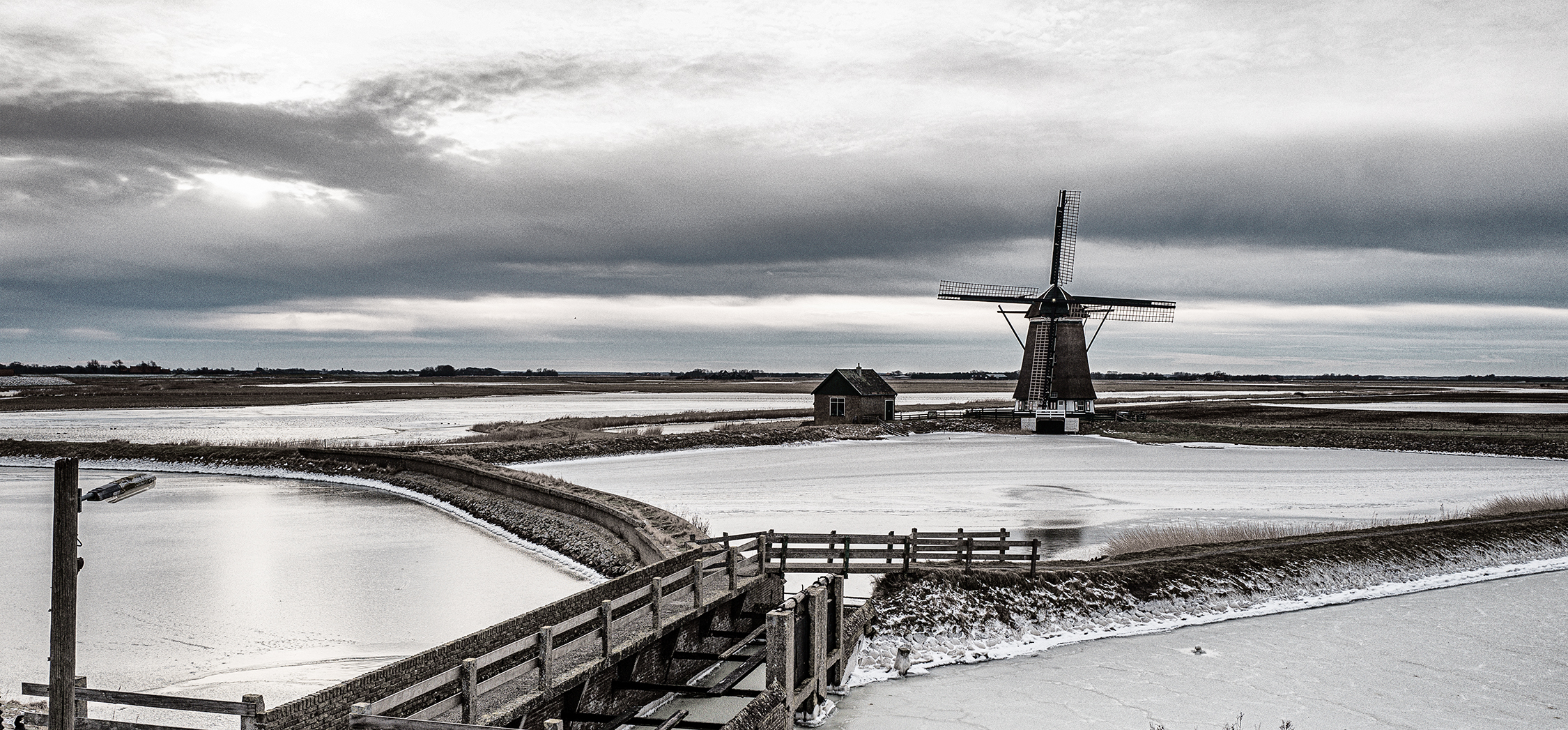 Plant in vulkaan landschap, fotostudio karel bingen.