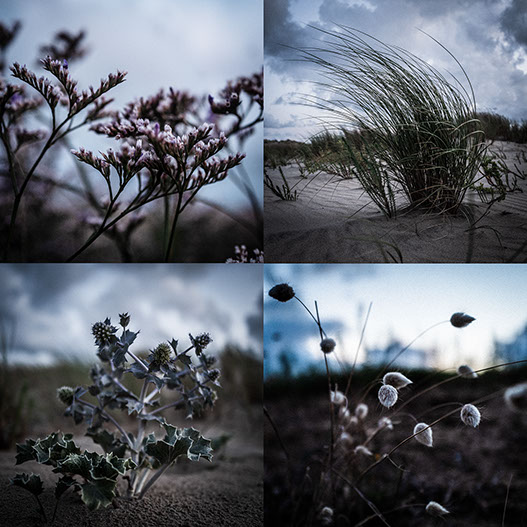 Locatie Food fotografie, Foto Fotostudio Karel Bingen, fotograaf Roermond Limburg Nederland