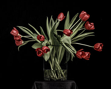 Studio product fotografie,Foto Fotostudio Karel Bingen, fotograaf Roermond Limburg Nederland